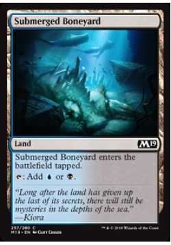 Submerged Boneyard