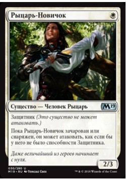 Рыцарь-Новичок