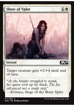 Show of Valor