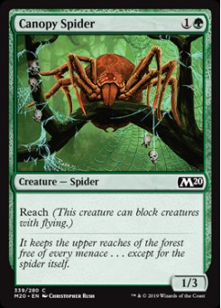 Canopy Spider