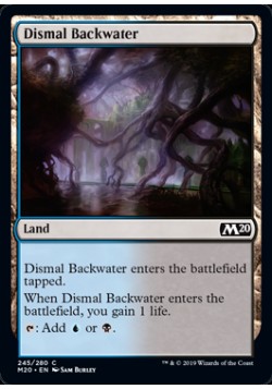 Dismal Backwater
