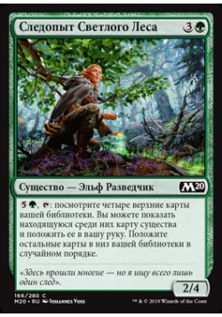 Следопыт Светлого Леса