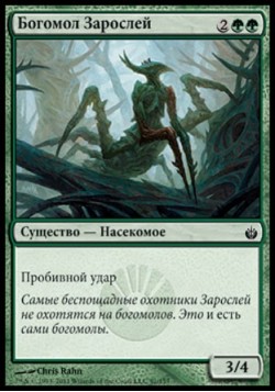 Богомол Зарослей