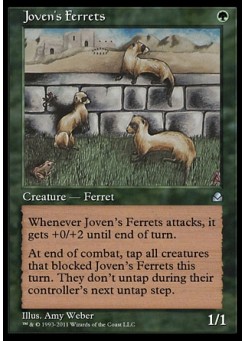 Joven's Ferrets