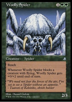 Woolly Spider