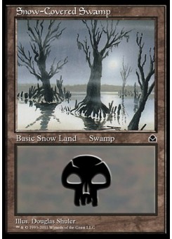 Snow-Covered Swamp