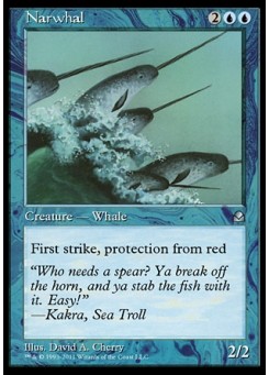 Narwhal