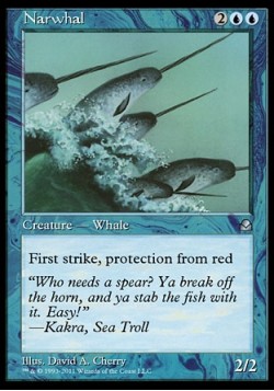 Narwhal