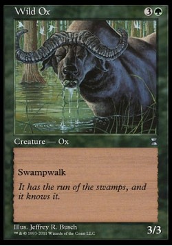 Wild Ox