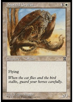 Spotted Griffin