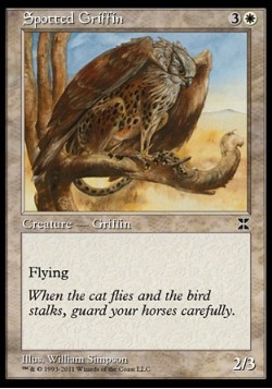 Spotted Griffin