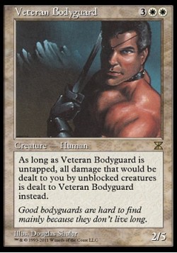 Veteran Bodyguard