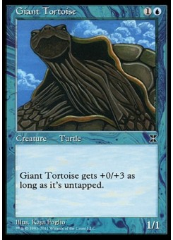 Giant Tortoise