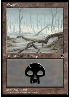 Swamp
