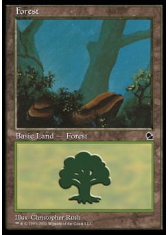 Forest