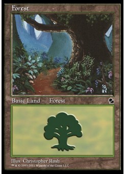 Forest