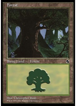 Forest