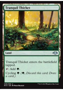 Tranquil Thicket