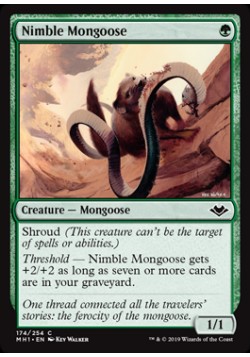 Nimble Mongoose