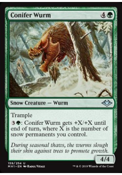 Conifer Wurm