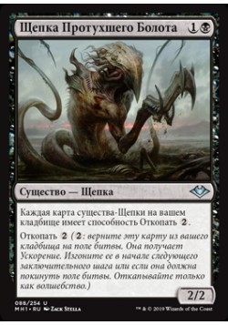 Щепка Протухшего Болота