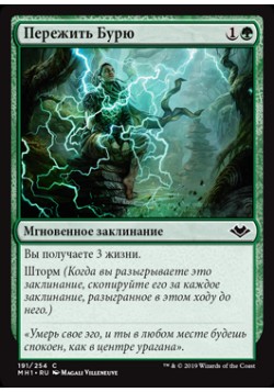 Пережить Бурю