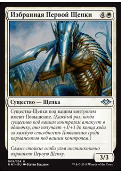 Избранная Первой Щепки