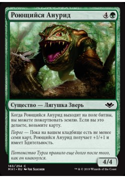 Роющийся Анурид