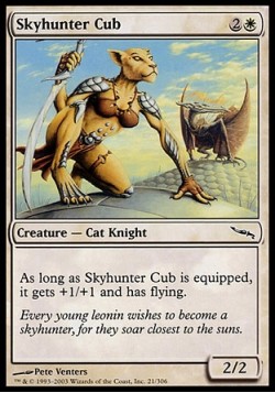 Skyhunter Cub