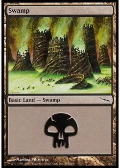 Swamp