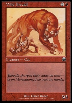 Wild Jhovall