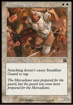 Steadfast Guard