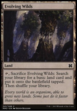 Evolving Wilds
