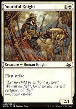 Youthful Knight