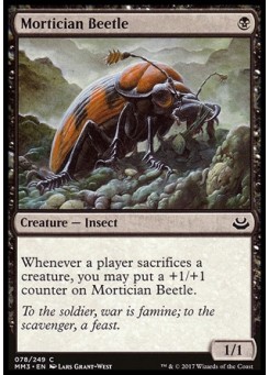 Mortician Beetle