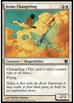 Avian Changeling