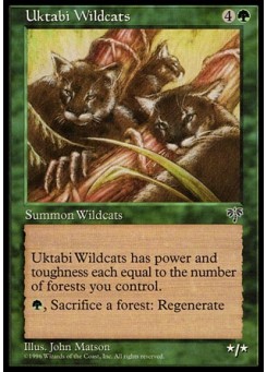 Uktabi Wildcats