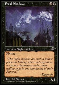 Feral Shadow