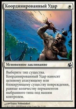 Координированный Удар