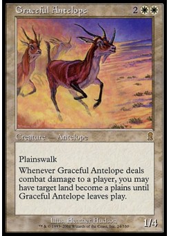 Graceful Antelope