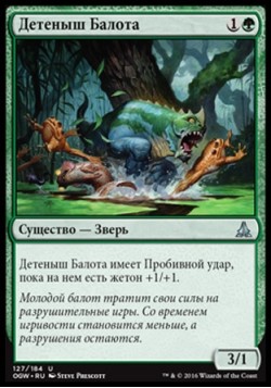 Детеныш Балота