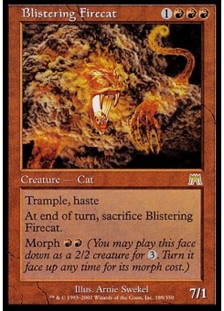 Blistering Firecat