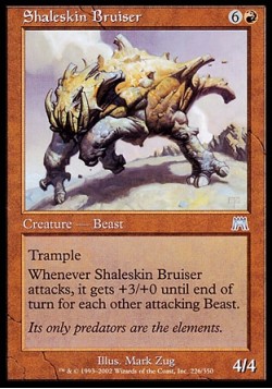 Shaleskin Bruiser