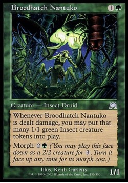 Broodhatch Nantuko