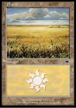 Plains