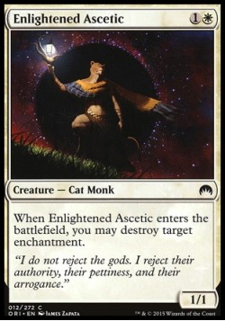 Enlightened Ascetic