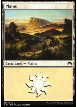 Plains