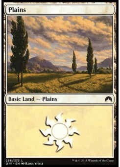 Plains