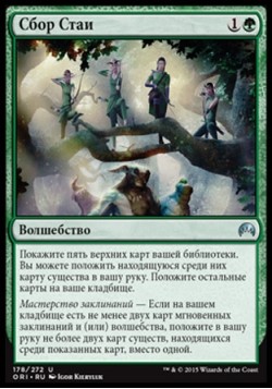 Сбор Стаи