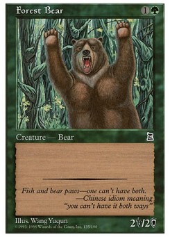 Forest Bear